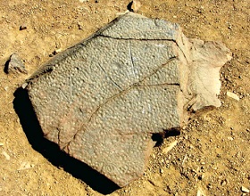 Petroglifos de Checta